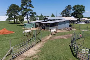 30580 Co Rd 49, Loxley, AL 36551 - Photo 29