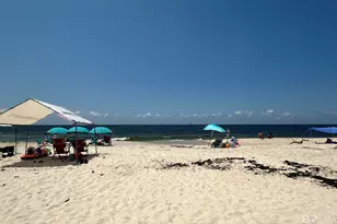 3196 State Hwy 180, Gulf Shores, AL 36542 - Photo 41