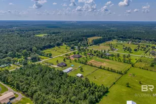 26895 C R Watson Rd, Robertsdale, AL 36567 - Photo 85