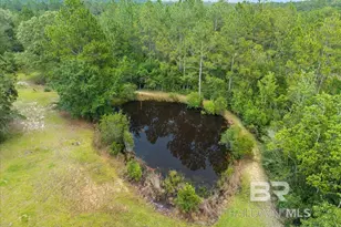 21011 River Rd, Robertsdale, AL 36567 - Photo 27