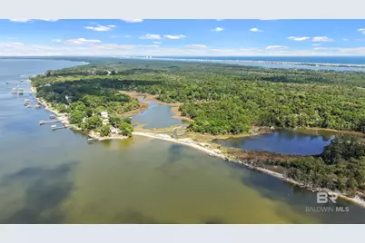 0 State Highway 180, Gulf Shores, AL 36542 - Photo 3