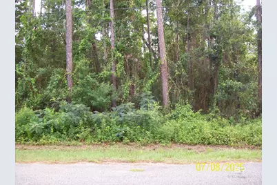 0 Canal Circle, Fairhope, AL 36532 - Photo 3
