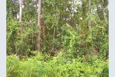 0 Canal Circle, Fairhope, AL 36532 - Photo 5