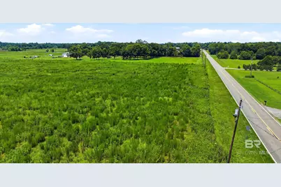 16322 Old Brady Road, Bay Minette, AL 36507 - Photo 19