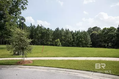 217 Castlands Court, Fairhope, AL 36532 - Photo 3