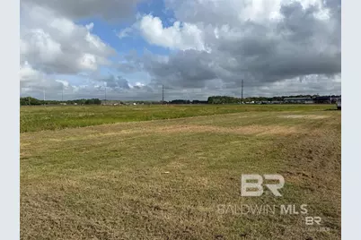 0 County Road 65, Foley, AL 36525 - Photo 1
