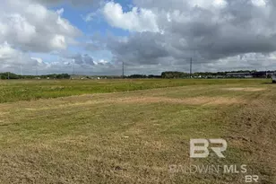 0 County Road 65, Foley, AL 36525 - Photo 1