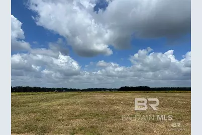 0 County Road 65, Foley, AL 36525 - Photo 5