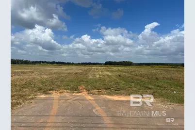 0 County Road 65, Foley, AL 36525 - Photo 3