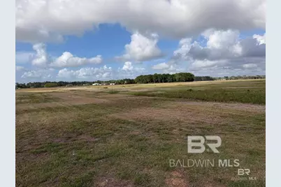 0 County Road 65, Foley, AL 36525 - Photo 9