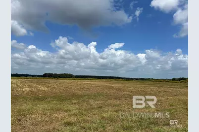 0 County Road 65, Foley, AL 36525 - Photo 5