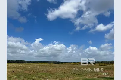 0 County Road 26, Foley, AL 36525 - Photo 3