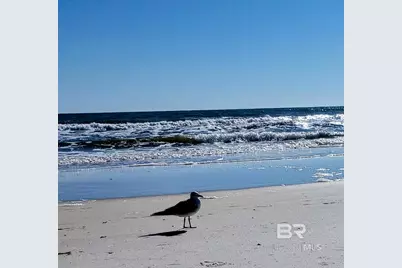 3760 Blue Heron Drive, Gulf Shores, AL 36542 - Photo 53