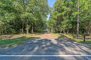 16560 Old Ganey Rd, Bay Minette, AL 36507 - Photo 29
