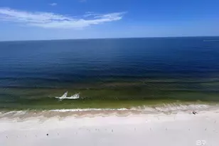 29040 Perdido Beach Blvd, Orange Beach, AL 36561 - Photo 9