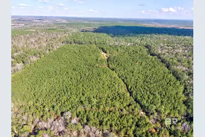 0 Jones Lane, Bay Minette, AL 36507 - Photo 13
