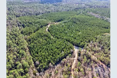 0 Jones Lane, Bay Minette, AL 36507 - Photo 5