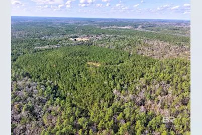 0 Jones Lane, Bay Minette, AL 36507 - Photo 9