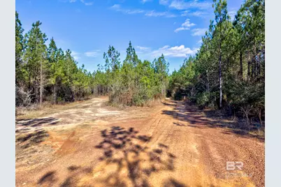 0 Jones Lane, Bay Minette, AL 36507 - Photo 17