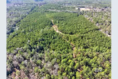 0 Jones Lane, Bay Minette, AL 36507 - Photo 7