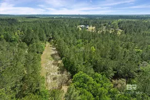 29476 C P Adams Ln, Elberta, AL 36530 - Photo 23