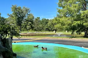 6194 St Hwy 59, Gulf Shores, AL 36542 - Photo 29