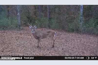 0 Cactus Court, Elberta, AL 36530 - Photo 1