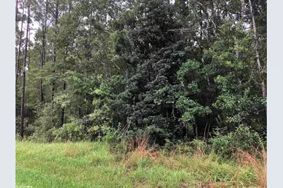 0 Wilson Road, Elberta, AL 36530 - Photo 1