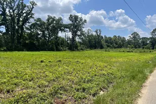 25636 US Hwy 98, Elberta, AL 36530 - Photo 1