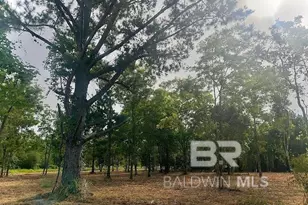 0 Newman Rd, Mobile, AL 36695 - Photo 1