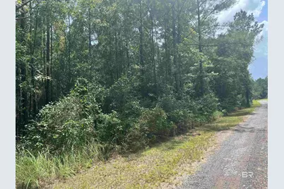262249 Whitehouse Fork Road Extension, Bay Minette, AL 36507 - Photo 1