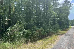 262249 Whitehouse Fork Road Ext, Bay Minette, AL 36507 - Photo 1
