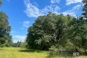 0 Newman Rd, Mobile, AL 36695 - Photo 1