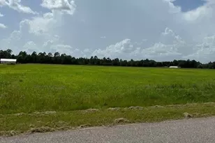 00 US Hwy 90, Robertsdale, AL 36567 - Photo 1