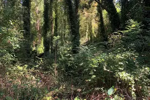 22761 Main St, Fairhope, AL 36532 - Photo 1