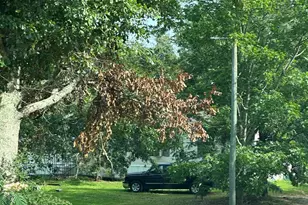 177 Juniper Dr, McDavid, FL 32568 - Photo 1