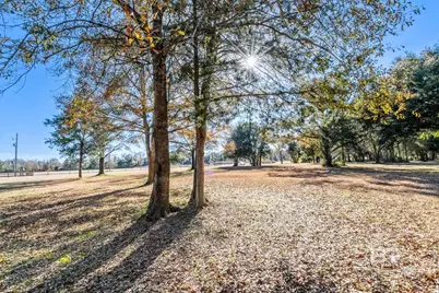 County Road 26, Foley, AL 36535 - Photo 1