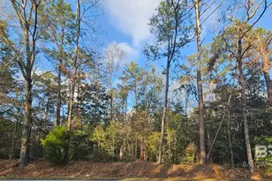 0 County Road 138, Bay Minette, AL 36507 - Photo 1