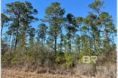 Robert White Road, Bay Minette, AL 36507 - Photo 1