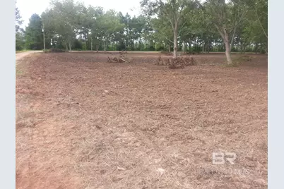 0 Engel Lane, Foley, AL 96535 - Photo 1