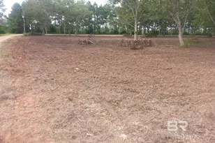 0 Engel Ln, Foley, AL 96535 - Photo 1