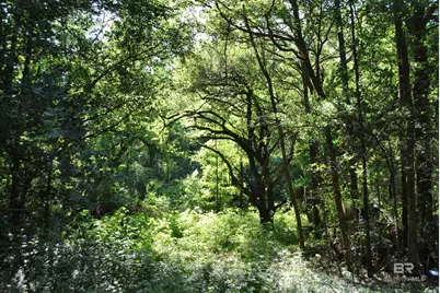 0 Boothe Road, Fairhope, AL 36532 - Photo 1