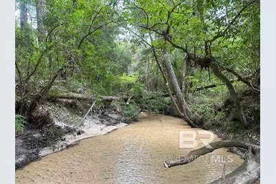 0 Dry Branch Lane, Robertsdale, AL 36567 - Photo 1
