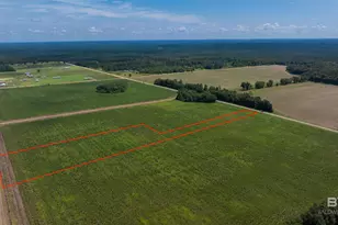 0 Cc Rd, Elberta, AL 36530 - Photo 1