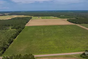 0 Cc Rd, Elberta, AL 36530 - Photo 1