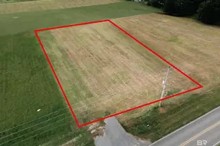 17127 E Thompson Rd, Robertsdale, AL 36567 - Photo 1