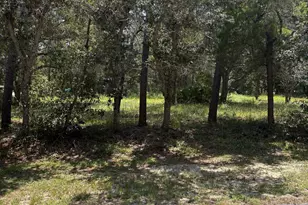 4063 Seville Cir, Orange Beach, AL 36561 - Photo 1