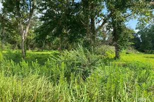 16827 Engel Ln, Foley, AL 36545 - Photo 1