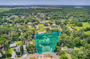 10195 W Pineview Dr, Foley, AL 36535 - Photo 1