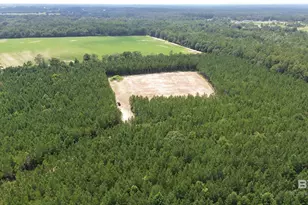 0 Lechner Rd, Robertsdale, AL 36551 - Photo 1